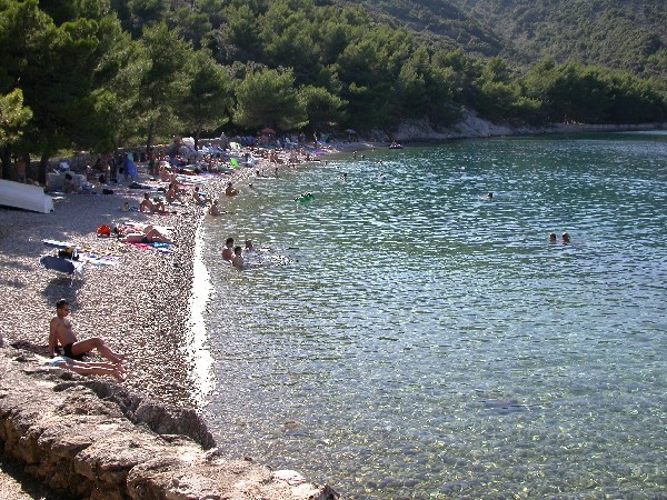 La spiaggia nei pressi della pineta di Valun.