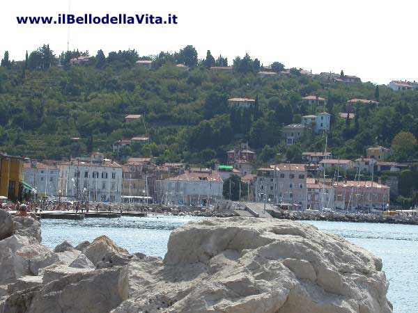 Il porto di Pirano.