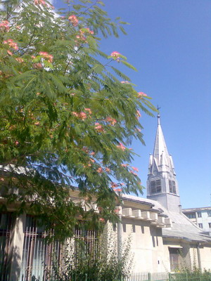 Pitesti, Chiesa Cattolica (inviata da Marilena)