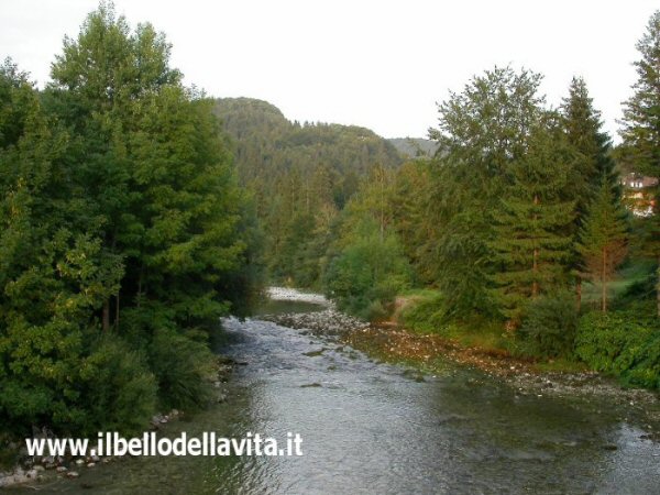 Il lago di Bohinj.