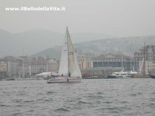 Barche a vela di fronte a Piazza Unità (Barcolana 2004).