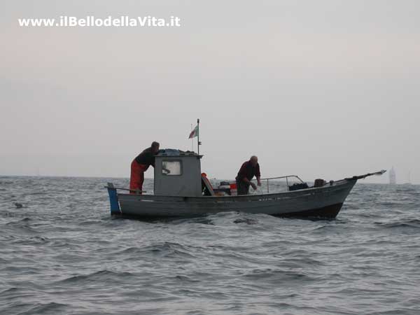 Pescatori nel Golfo di Trieste.