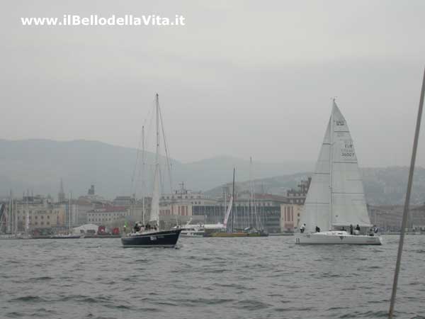 Barche a vela nel tratto di mare di fronte alle Rive (Barcolana 2004).