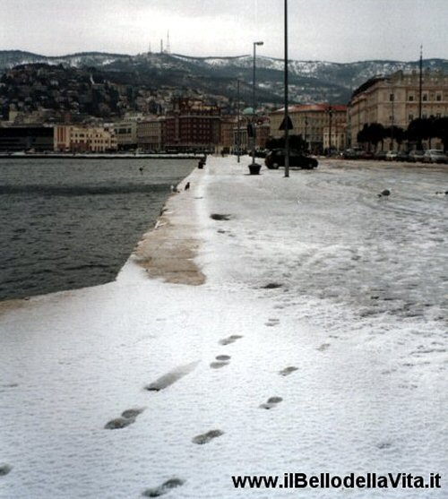 Le rive di Trieste innevate (gennaio 2003).