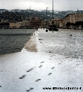 Le rive di Trieste innevate (gennaio 2003). - Clicca per ingrandire la foto...