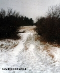 Un sentiero innevato a S. Lorenzo, sul Carso triestino (gennaio 2003). - Clicca per ingrandire la foto...