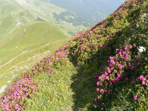 Scorcio di valle, Abetone (inviata da giulia).