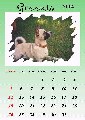 Poldo e il suo calendario (inviata da giulia) - Clicca per ingrandire la foto...